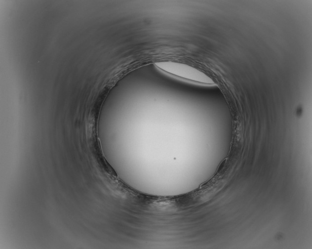 X0000094460283200711081106