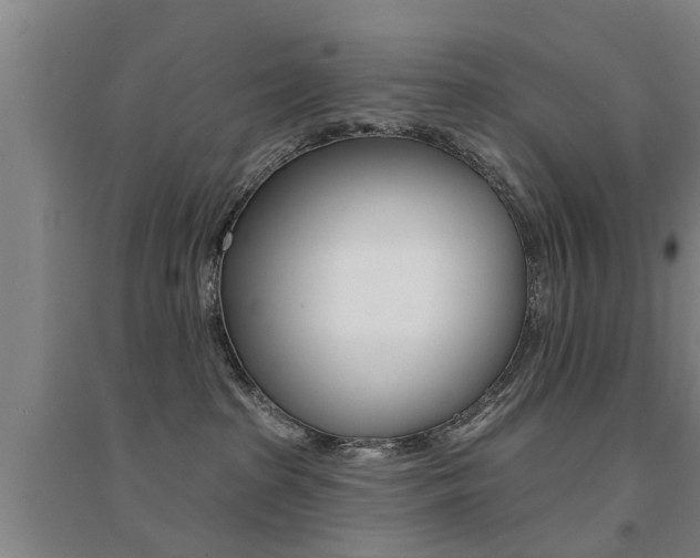 X0000094460285200711081106