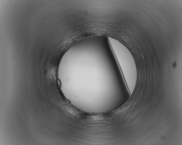 X0000094460286200711081106