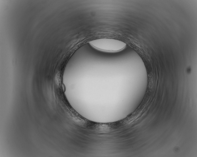 X0000094460287200711081106