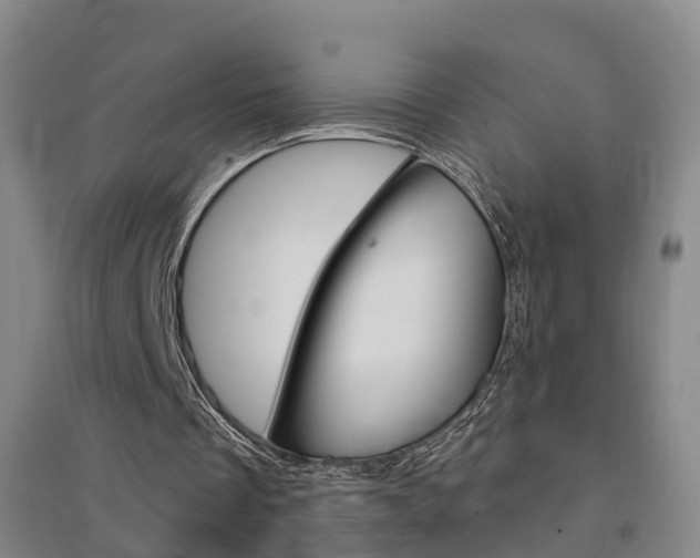 X0000094460289200711081105