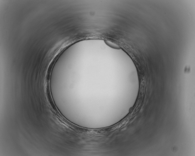 X0000094460290200711081105