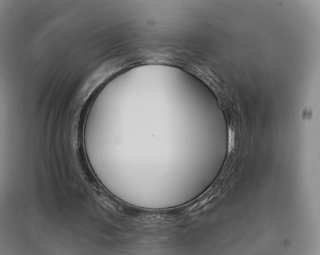 X0000094460291200711081105