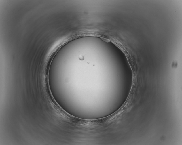 X0000094460293200711081105