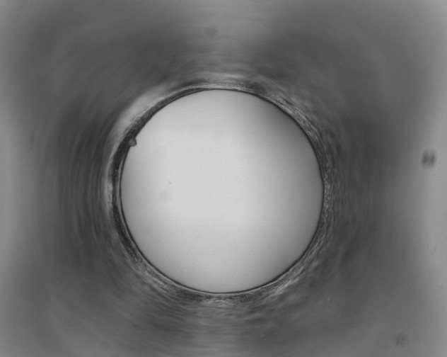 X0000094460294200711081105