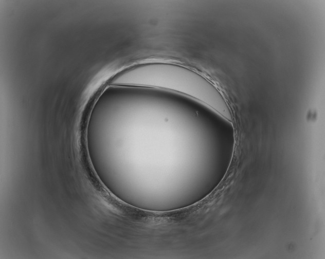 X0000094460296200711081105