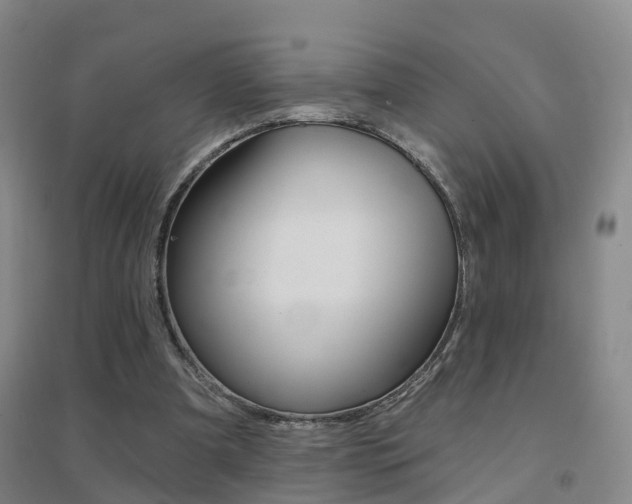 X0000094460297200711081105