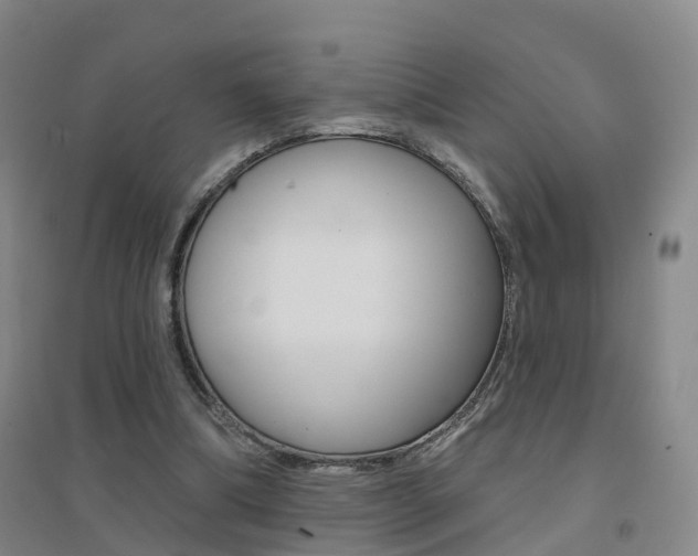 X0000094460298200711081105