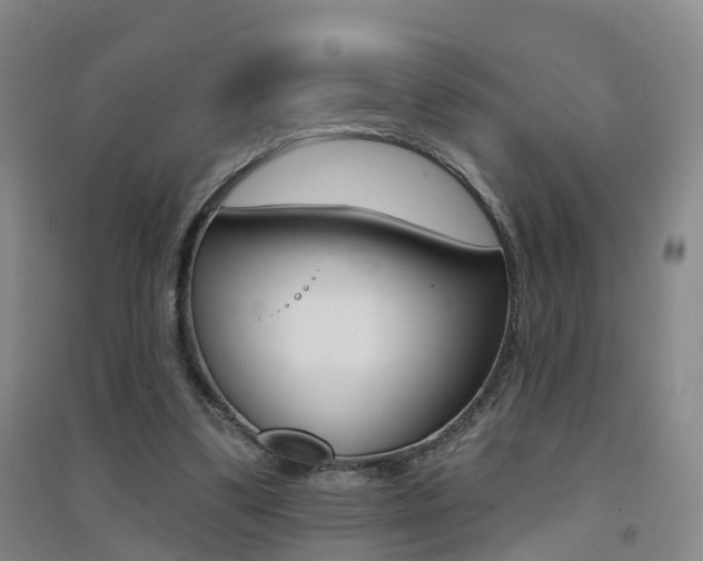 X0000094460299200711081105