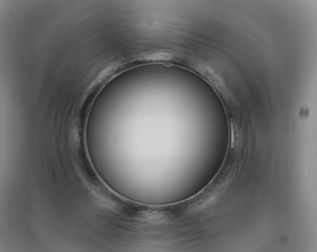 X0000094460300200711081105