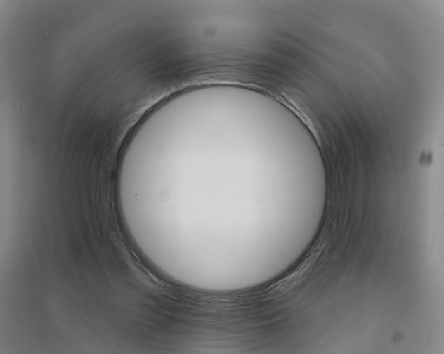 X0000094460301200711081105