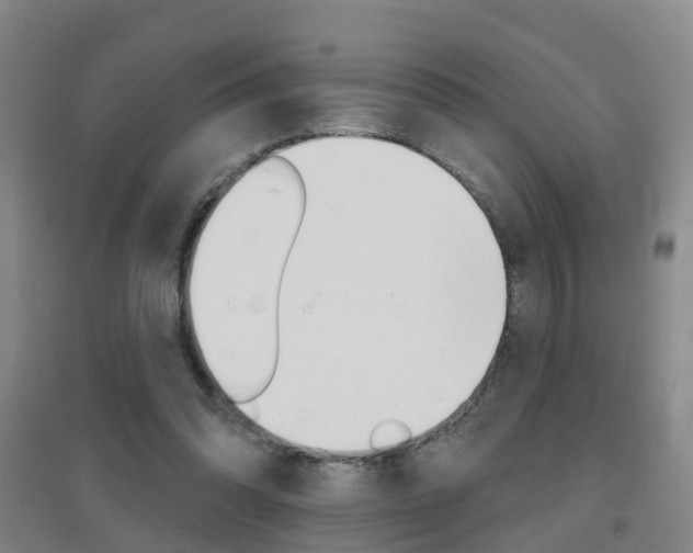 X0000094460302200711081105