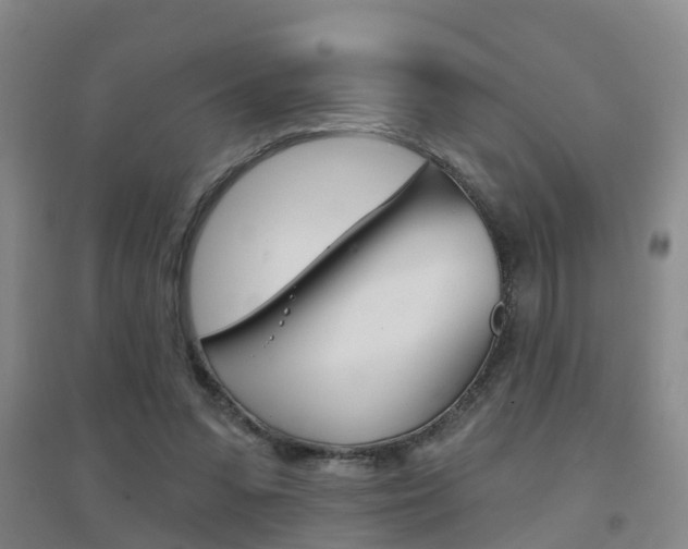 X0000094460303200711081105