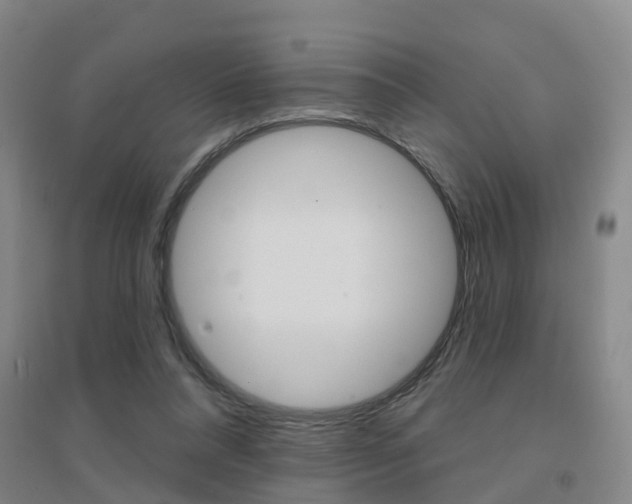 X0000094460304200711081105