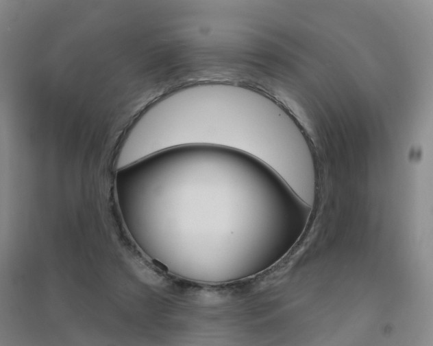 X0000094460305200711081105