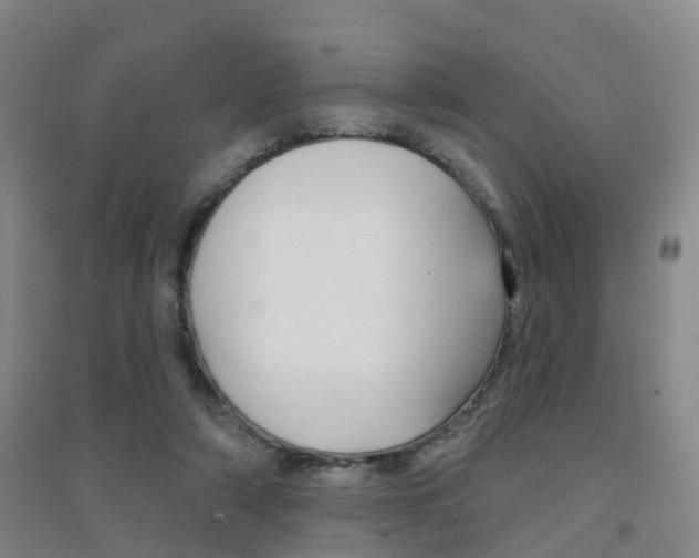 X0000094460306200711081105