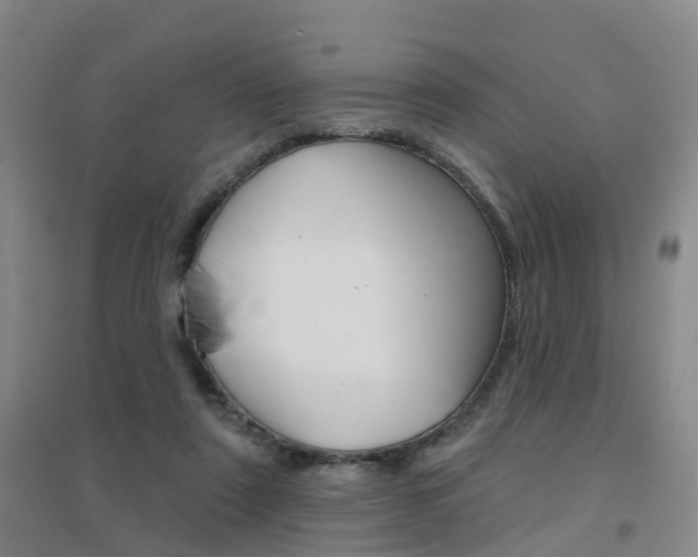 X0000094460307200711081105