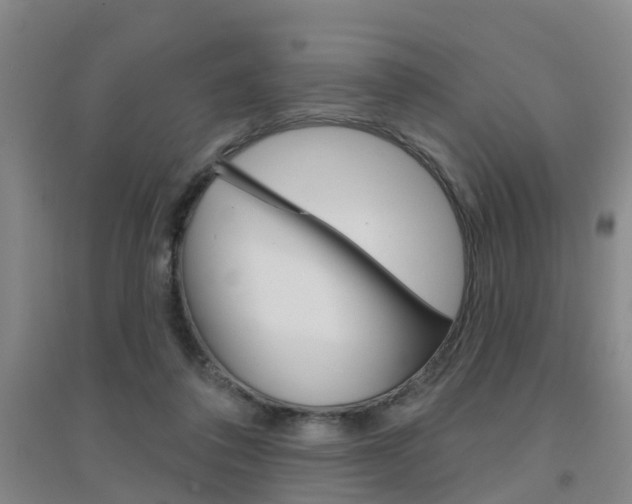 X0000094460308200711081105