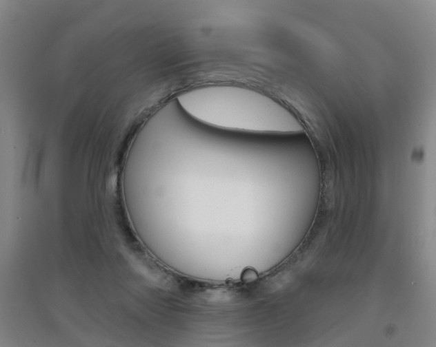 X0000094460310200711081105
