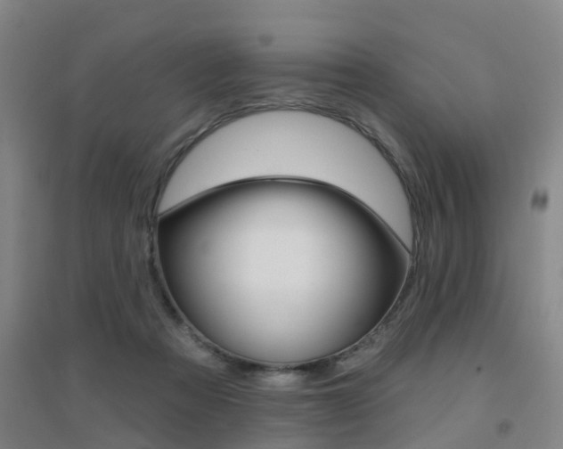X0000094460313200711081105