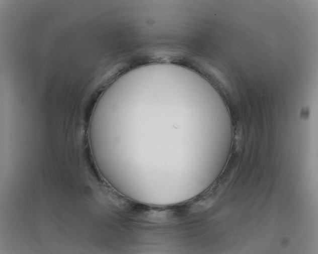 X0000094460314200711081105