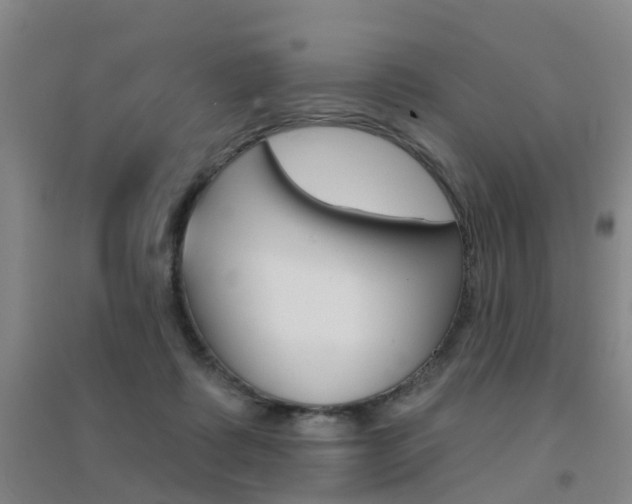 X0000094460315200711081105