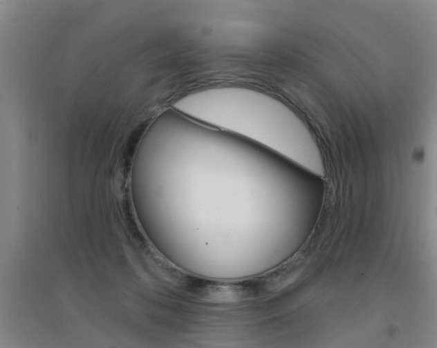 X0000094460316200711081105