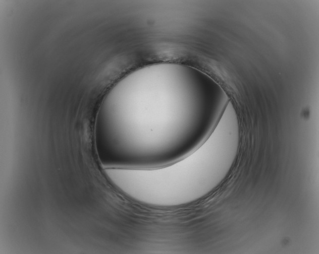 X0000094460317200711081105