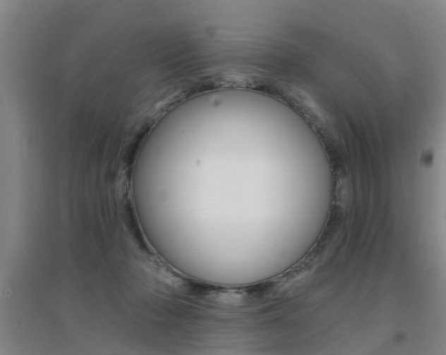 X0000094460318200711081105