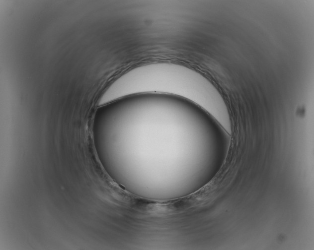 X0000094460320200711081105