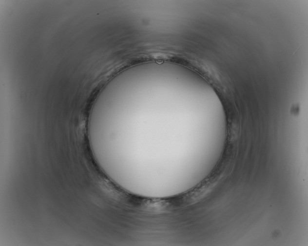 X0000094460321200711081105
