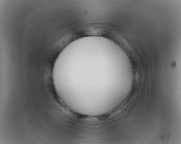 X0000094460322200711081105