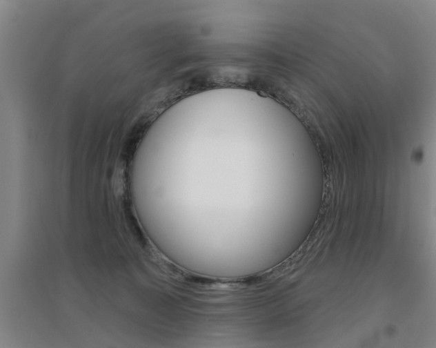 X0000094460323200711081105
