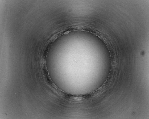 X0000094460324200711081105