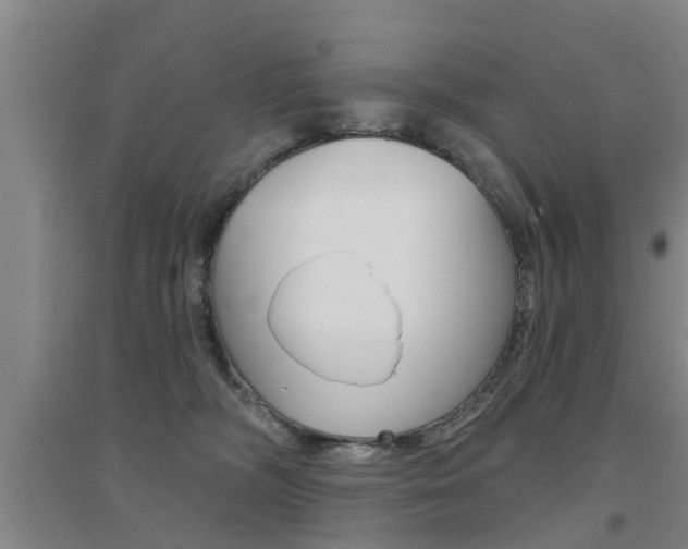 X0000094460326200711081105