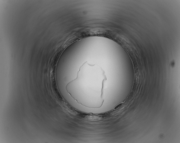 X0000094460327200711081105