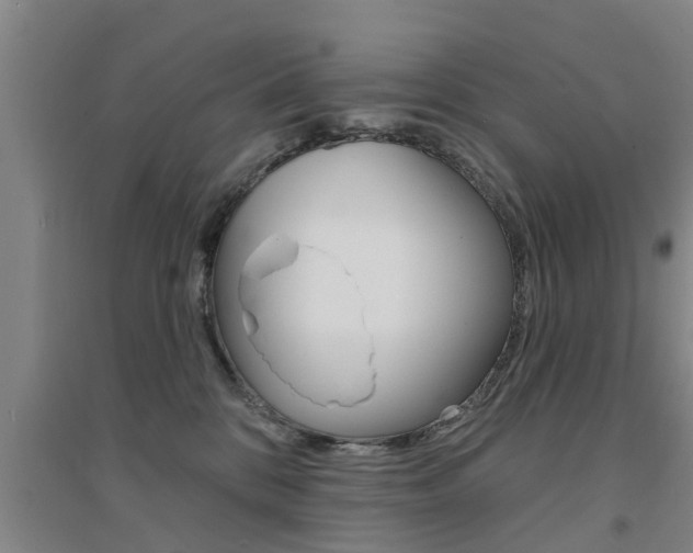 X0000094460328200711081105