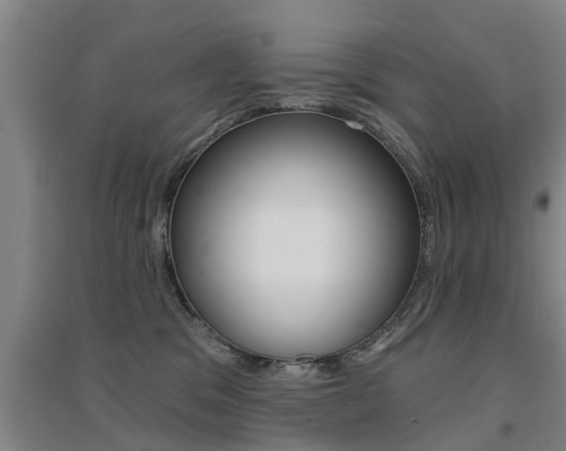 X0000094460329200711081105