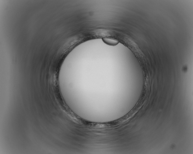 X0000094460330200711081105