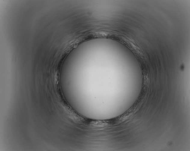 X0000094460331200711081105