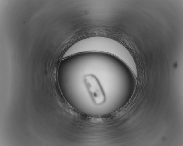 X0000094460332200711081105