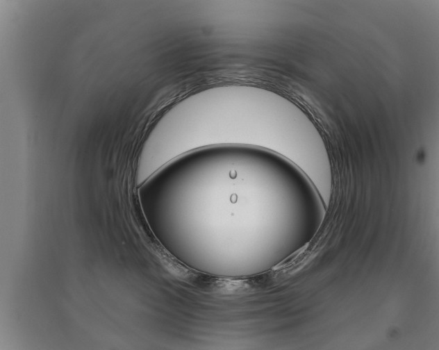 X0000094460333200711081105
