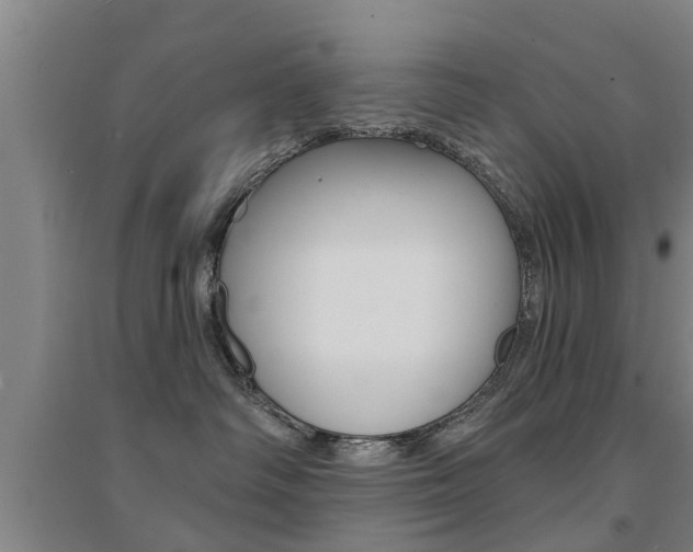 X0000094460334200711081105