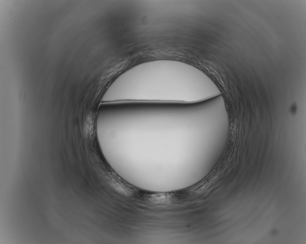 X0000094460335200711081105