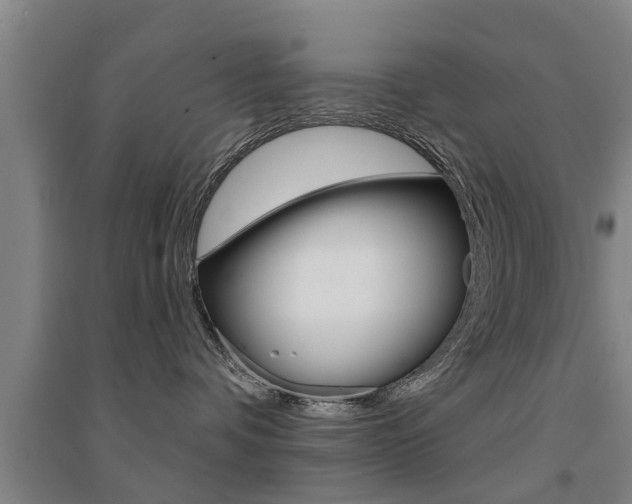 X0000094460336200711081105