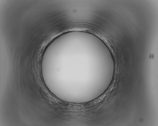 X0000094460337200711081104