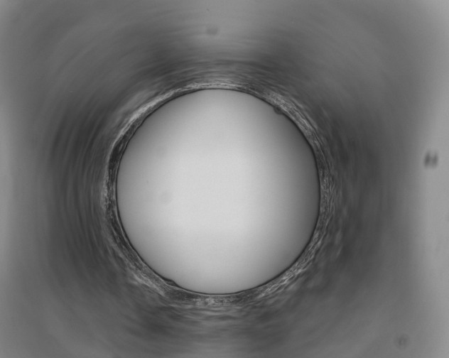 X0000094460338200711081104