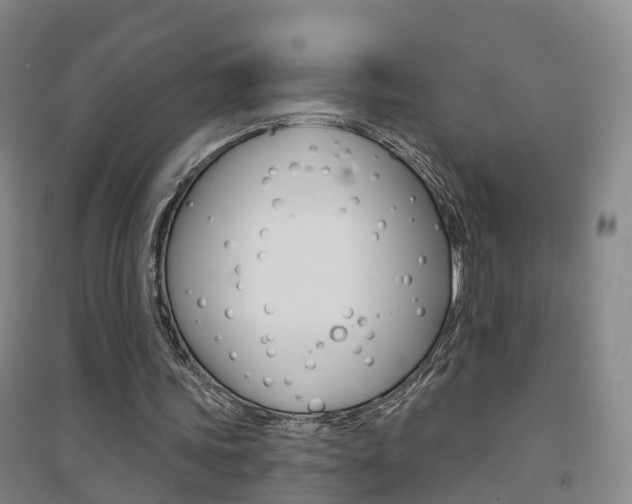 X0000094460339200711081104