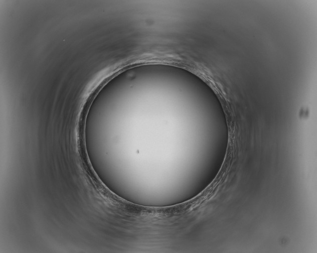 X0000094460340200711081104