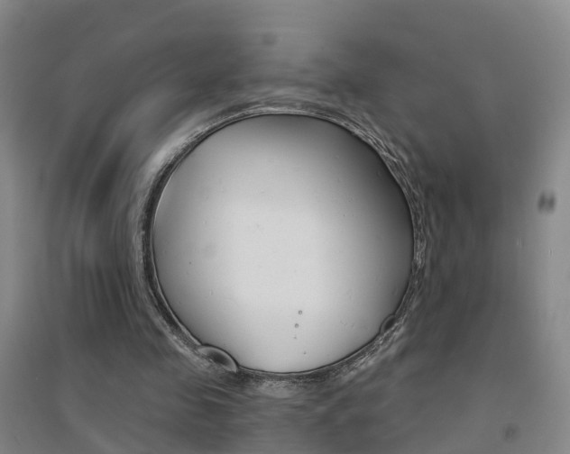 X0000094460341200711081104